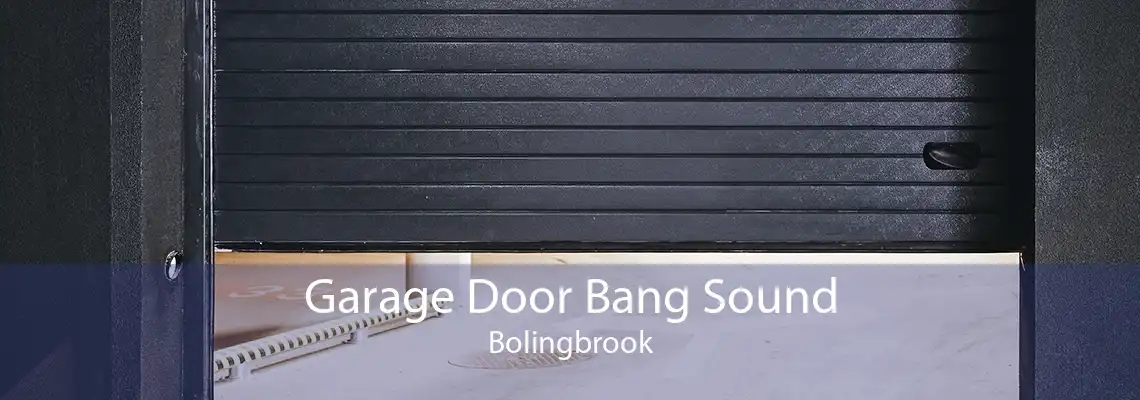 Garage Door Bang Sound Bolingbrook