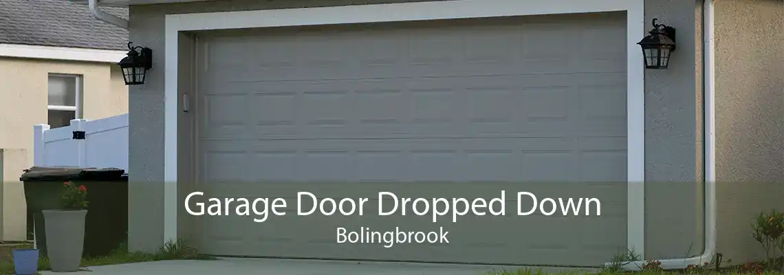 Garage Door Dropped Down Bolingbrook