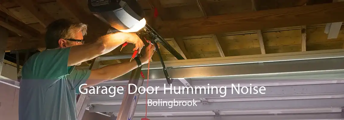 Garage Door Humming Noise Bolingbrook
