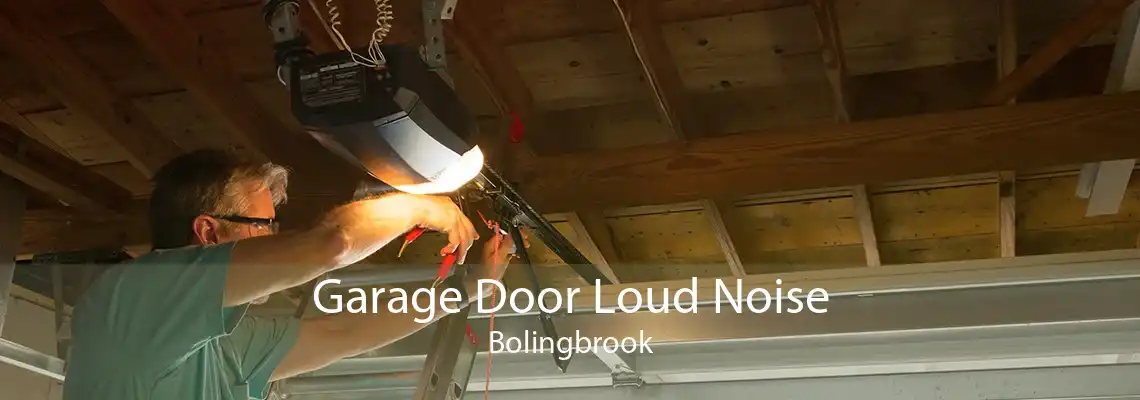 Garage Door Loud Noise Bolingbrook