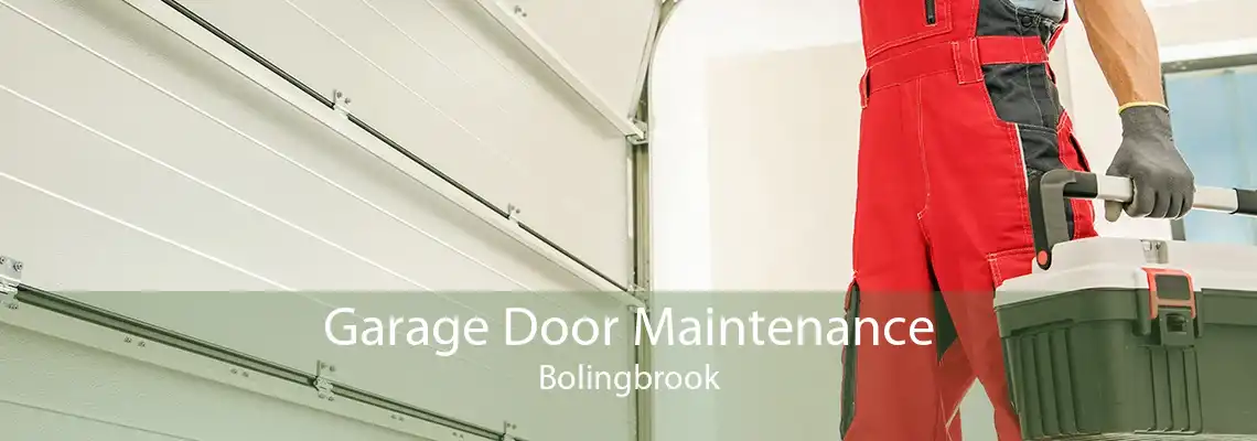 Garage Door Maintenance Bolingbrook