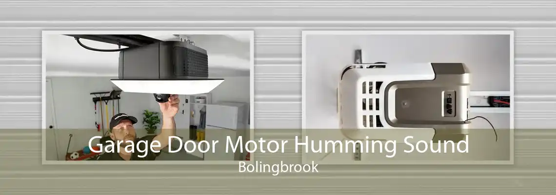 Garage Door Motor Humming Sound Bolingbrook