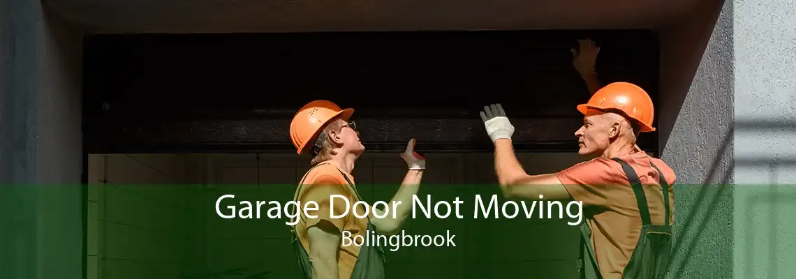 Garage Door Not Moving Bolingbrook