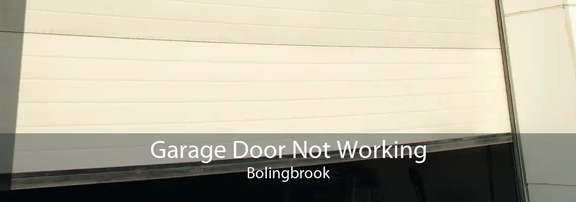 Garage Door Not Working Bolingbrook