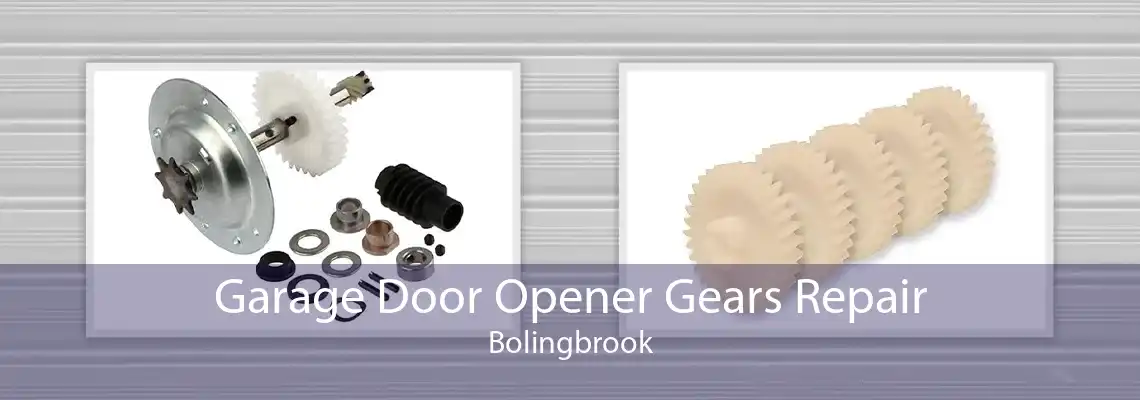 Garage Door Opener Gears Repair Bolingbrook