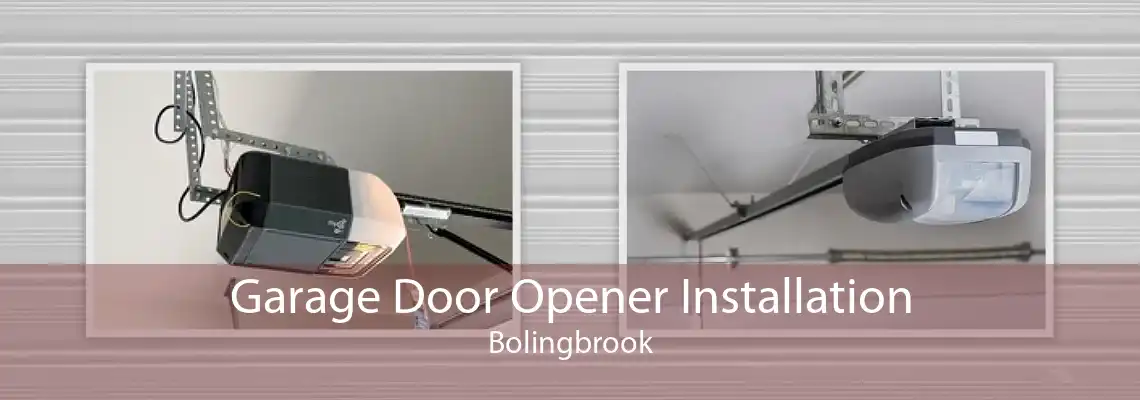 Garage Door Opener Installation Bolingbrook