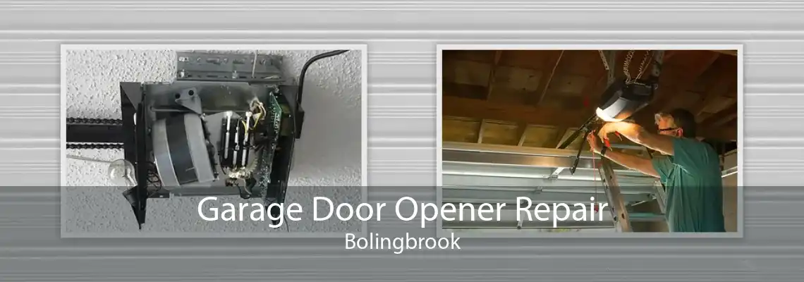 Garage Door Opener Repair Bolingbrook