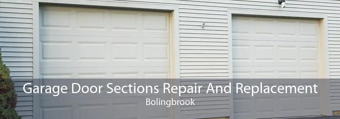 Garage Door Sections Repair And Replacement Bolingbrook