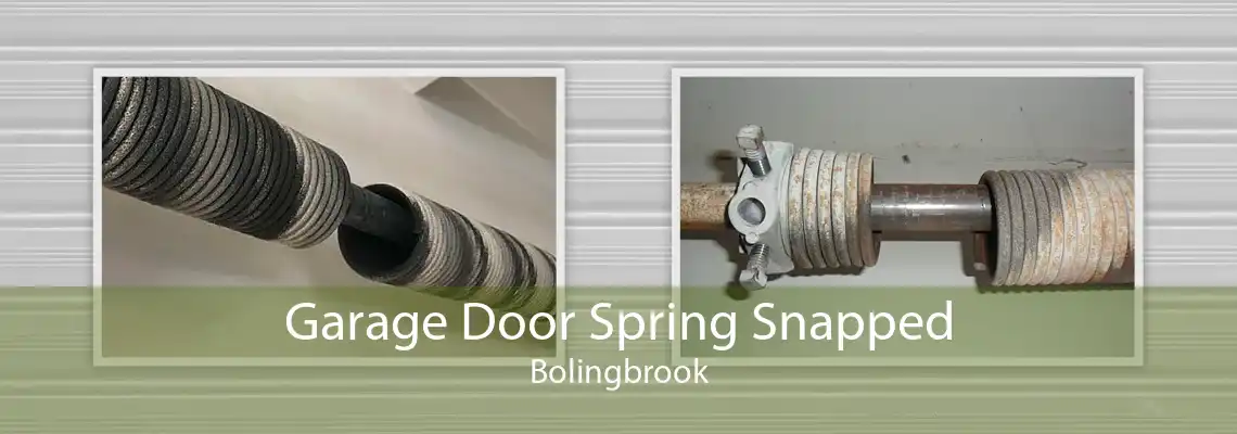 Garage Door Spring Snapped Bolingbrook