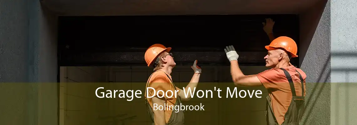 Garage Door Won't Move Bolingbrook