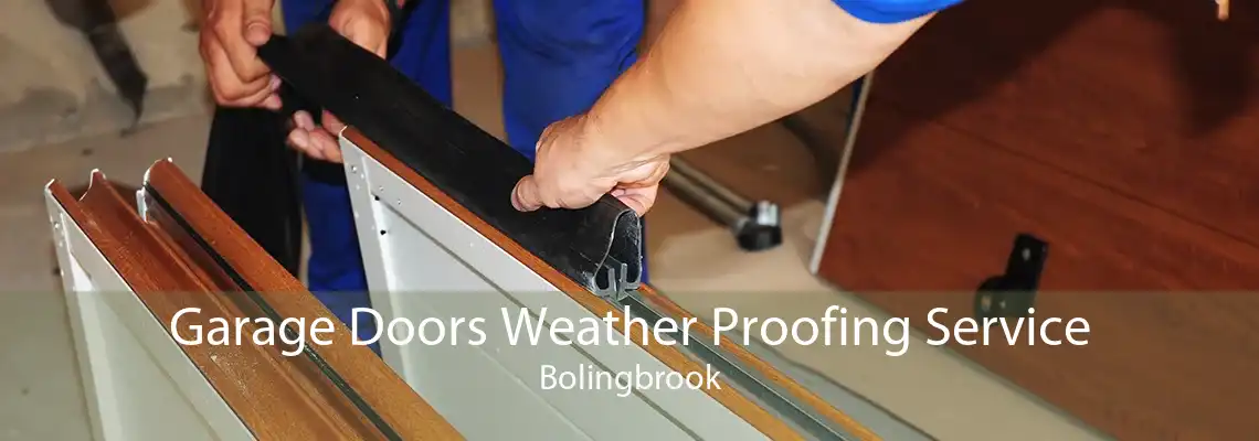 Garage Doors Weather Proofing Service Bolingbrook