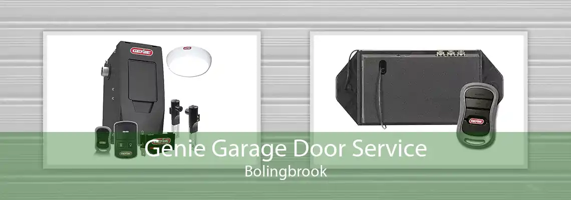 Genie Garage Door Service Bolingbrook