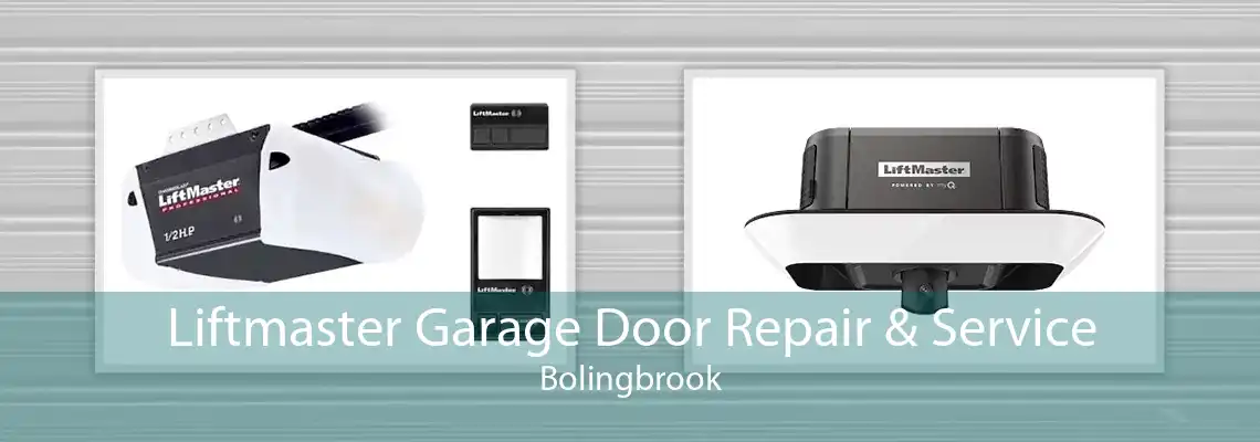 Liftmaster Garage Door Repair & Service Bolingbrook