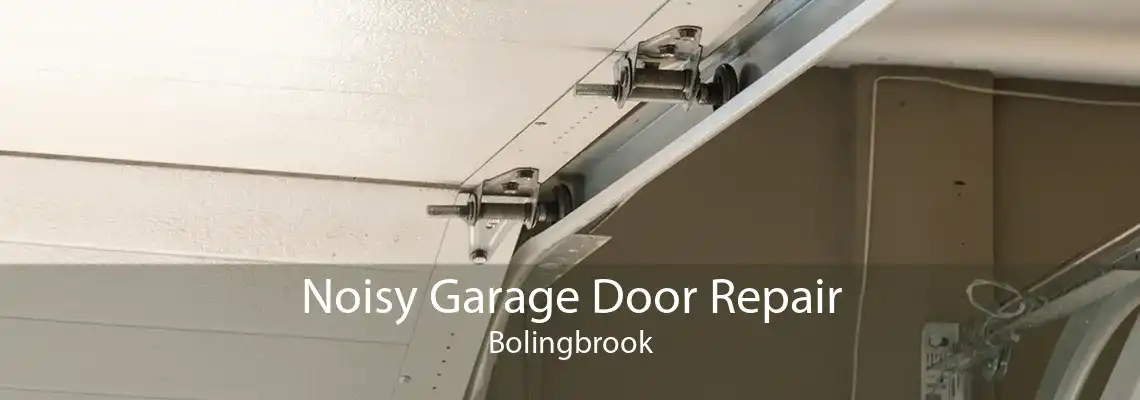Noisy Garage Door Repair Bolingbrook