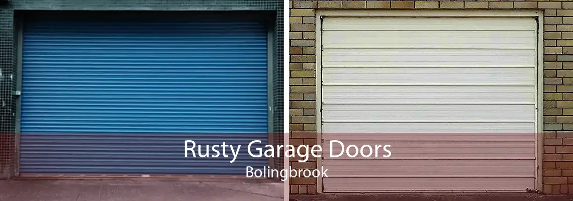 Rusty Garage Doors Bolingbrook